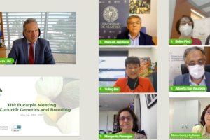 Imagen del encuentro.