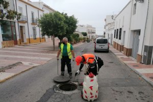 Desarrollo de los trabajos en Dalías.