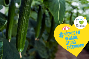Campaña I Love Bichos. Cultivos Naturalmente Protegidos.