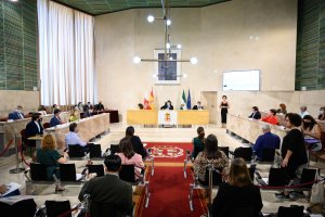 Regreso de los plenos presenciales al Ayuntamiento de Almería