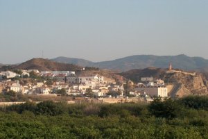 Vista general del municipio de Arboleas.