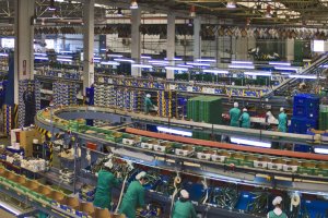 La mayor presencia femenina se da en los almacenes de manipulado