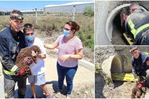 Imágenes del rescate del perro de agua.