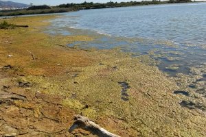 Los vecinos denuncian que los vertidos suponen una amenaza medioambiental y sanitaria.