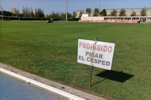 El Anexo está casi a punto para la vuelta del Almería.