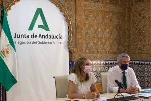 La subdelegada del gobierno andaluz y el delegado de Salud se han reunido con todos los alcaldes del Distrito Sanitario.