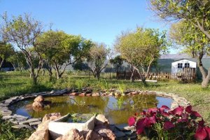 Tierra Active School en Camino Casa Alta, Pechina. Almería.