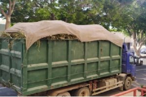 Camión cargado de marihuana.