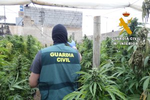 Operación en el Pozo de la Tía Manolica