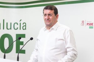 El portavoz socialista en Vera, Martín Gerez.