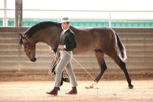 Juan Manuel Castillo en una imagen de archivo.