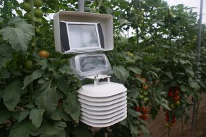 La tecnología de control de cultivo, un aliado importante para el control de los consumos y de la productividad.