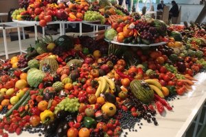 El mercado ruso sigue cerrado a la importación comunitaria de frutas y hortalizas.