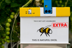 Colmena Natupol Excel EXTRA de Koppert.