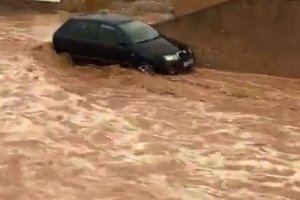 Imagen del jueves de la Rambla de Pulpí.