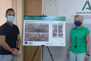 Presentación del proyecto.