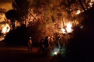 El incendio forestal declarado en Sierra Bermeja, en Málaga.