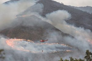 Imagen del incendio de Sierra Bermeja, en Málaga.
