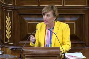 Sonia Ferrer, en el congreso.