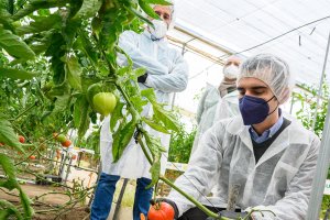 Ramón Fernández-Pacheco visita un invernadero.