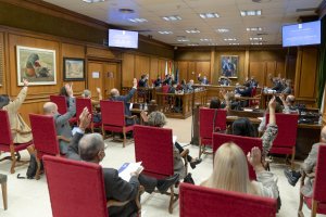 Pleno de la Diputación.
