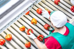 Una trabajadora de una empresa agrícola.