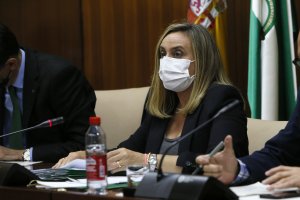 Marifrán Carazo en la Comisión de Fomento.