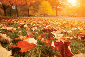 Escapadas de otoño por los pueblos de la provincia de Almería.