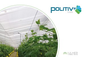 Ulher, el nuevo plástico de doble techo de Politiv.