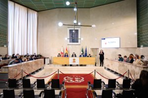 Vista general del salón de plenos