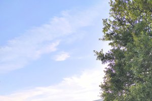 Paterna del Río y los tres ejes con los que crecer creciendo.