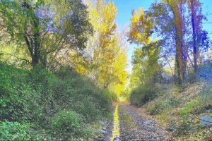 Alcóntar, el municipio en el que nace el Río Almanzora.