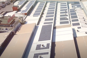 Vicasol autoabastece de energía renovable sus centros de trabajo gracias a la instalación de placas solares.