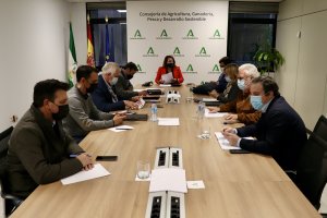 Andalucía presentará alegaciones a la versión inicial del Plan Estratégico Nacional de la PAC.