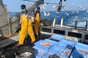 El sector pesquero inicia esta semana movilizaciones contra la política que la UE plantea en el Meditérraneo.