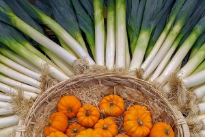 Puerros y calabazas para una crema.