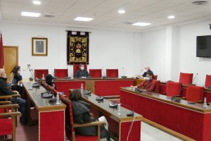 Pleno del Ayuntamiento de Adra.