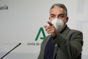 El consejero de la Presidencia, Elías Bendodo.