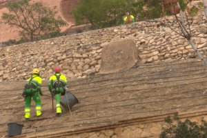 Trabajadores encargados de replantar la zona.