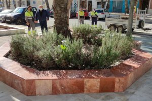 Mejoras en las zonas ajardinadas en Huércal-Overa