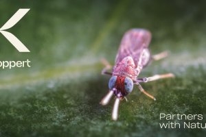 Koppert lanza nueva imagen de marca inspirada en la Naturaleza.