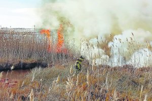 Imagen del incendio en Punta Entinas-Sabinar de Roquetas de Mar.