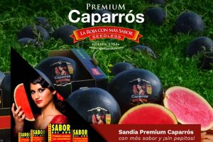 Ilustración del reconocimiento obtenido de nuevo por la Premium de Caparrós