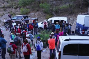 Imagen previa a otra jornada de reforestación en Berja.