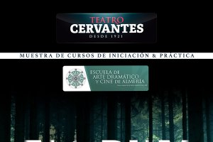 Cartel promocional de la obra  “Florum(Collage)”