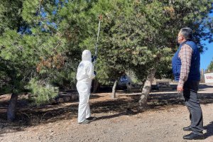 Imagen de una actuación contra la concesionaria.