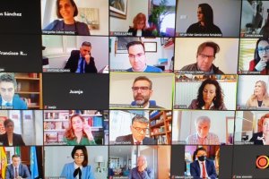 Pleno telemático del Ayuntamiento de Almería