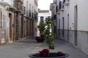 Maceteros instalados en la calle motivo del litigio.