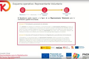 El 14 de febrero se celebró una jornada virtual donde se explicó de manera detallada el contenido de estas ayudas