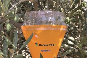 KarateTrap®B de Syngenta en un olivar